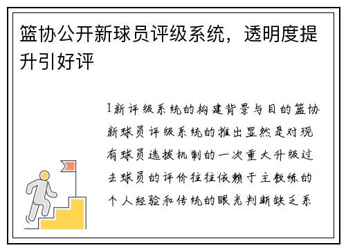 篮协公开新球员评级系统，透明度提升引好评