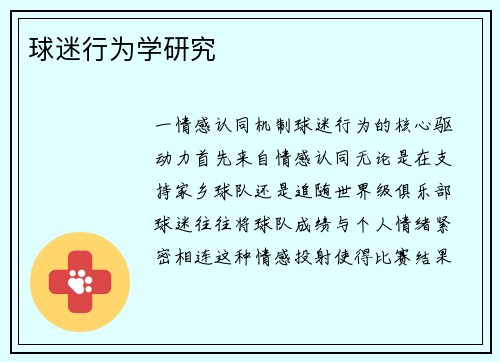 球迷行为学研究
