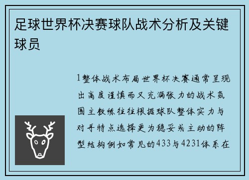 足球世界杯决赛球队战术分析及关键球员